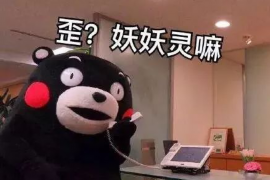 邹城企业清欠服务